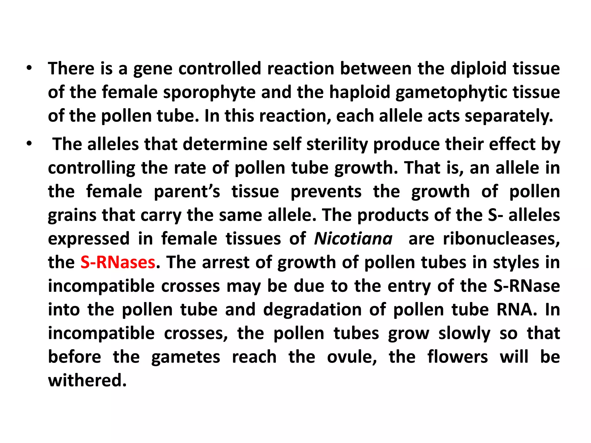 • There is a gene controlled reaction between the diploid tissue
of the female sporophyte and the haploid gametophytic tissue
of the pollen tube. In this reaction, each allele acts separately.
• The alleles that determine self sterility produce their effect by
controlling the rate of pollen tube growth. That is, an allele in
the female parent’s tissue prevents the growth of pollen
grains that carry the same allele. The products of the S- alleles
expressed in female tissues of Nicotiana are ribonucleases,
the S-RNases. The arrest of growth of pollen tubes in styles in
incompatible crosses may be due to the entry of the S-RNase
into the pollen tube and degradation of pollen tube RNA. In
incompatible crosses, the pollen tubes grow slowly so that
before the gametes reach the ovule, the flowers will be
withered.
 