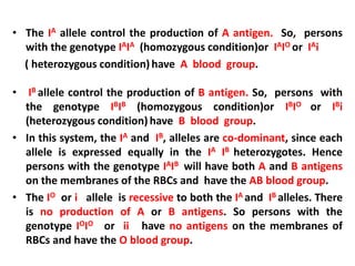 • The IA allele control the production of A antigen. So, persons
with the genotype IAIA (homozygous condition)or IAIO or IAi
( heterozygous condition)have A blood group.
• IB allele control the production of B antigen. So, persons with
the genotype IBIB (homozygous condition)or IBIO or IBi
(heterozygous condition) have B blood group.
• In this system, the IA and IB, alleles are co-dominant, since each
allele is expressed equally in the IA IB heterozygotes. Hence
persons with the genotype IAIB will have both A and B antigens
on the membranes of the RBCs and have the AB blood group.
• The IO or i allele is recessive to both the IA and IB alleles. There
is no production of A or B antigens. So persons with the
genotype IOIO or ii have no antigens on the membranes of
RBCs and have the O blood group.
 