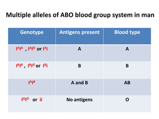 Multiple alleles of ABO blood group system in man
Genotype Antigens present Blood type
IAIA , IAIO or IAi A A
IBIB , IBIO or IBi B B
IAIB A and B AB
IOIO or ii No antigens O
 