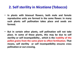 2. Self sterility in Nicotiana (Tobacco)
• In plants with bisexual flowers, both male and female
reproductive units are formed in the same flower. In many
such plants self pollination takes place and seeds are
formed.
• But in certain other plants, self pollination will not take
place. In some of these plants, this may be due to self
sterility or self incompatibility , which is the inability of the
pollen grains from the same plant to effect fertilization. That
means, self sterility or self incompatibility ensures cross
pollination or out crossing.
 