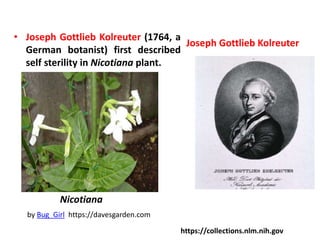 • Joseph Gottlieb Kolreuter (1764, a
German botanist) first described
self sterility in Nicotiana plant.
https://collections.nlm.nih.gov
Joseph Gottlieb Kolreuter
by Bug_Girl https://davesgarden.com
Nicotiana
 