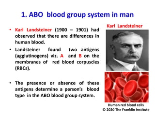 1. ABO blood group system in man
• Karl Landsteiner (1900 – 1901) had
observed that there are differences in
human blood.
• Landsteiner found two antigens
(agglutinogens) viz. A and B on the
membranes of red blood corpuscles
(RBCs).
• The presence or absence of these
antigens determine a person’s blood
type in the ABO blood group system.
Karl Landsteiner
Human red blood cells
© 2020 The Franklin Institute
 