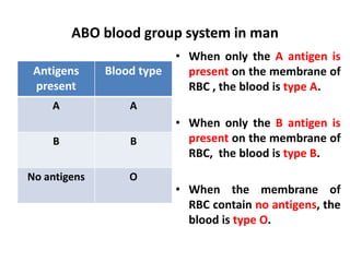 ABO blood group system in man
Antigens
present
Blood type
A A
B B
No antigens O
• When only the A antigen is
present on the membrane of
RBC , the blood is type A.
• When only the B antigen is
present on the membrane of
RBC, the blood is type B.
• When the membrane of
RBC contain no antigens, the
blood is type O.
 