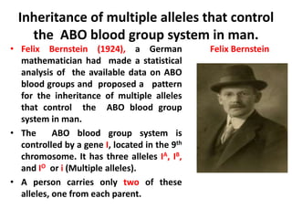 Inheritance of multiple alleles that control
the ABO blood group system in man.
• Felix Bernstein (1924), a German
mathematician had made a statistical
analysis of the available data on ABO
blood groups and proposed a pattern
for the inheritance of multiple alleles
that control the ABO blood group
system in man.
• The ABO blood group system is
controlled by a gene I, located in the 9th
chromosome. It has three alleles IA, IB,
and IO or i (Multiple alleles).
• A person carries only two of these
alleles, one from each parent.
Felix Bernstein
 
