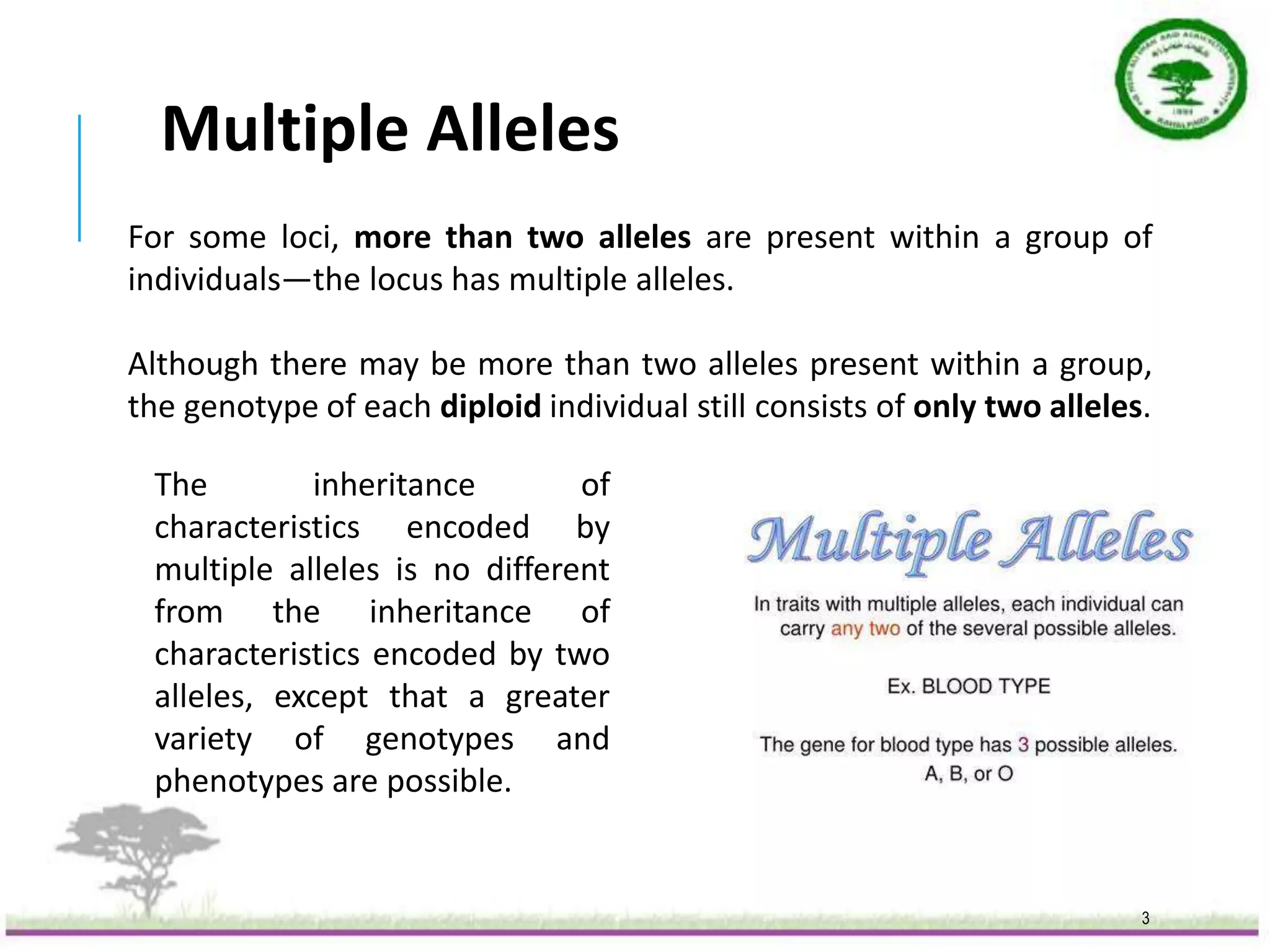 Multiple Alleles.pptx