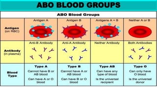 ABO BLOOD GROUPS
Mr. Dinabandhu Barad, MSc Tutor, SNC, SOA, DTU
 