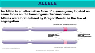 ALLELE
An Allele is an alternative form of a same gene, located on
same locus on the homologous chromosomes.
Alleles were first defined by Gregor Mendel in the law of
segregation
Mr. Dinabandhu Barad, MSc Tutor, SNC, SOA, DTU
 