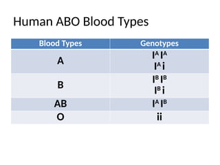Human ABO Blood Types
Blood Types Genotypes
A
IA
IA
IA
i
B
IB
IB
IB
i
AB IA
IB
O ii
 