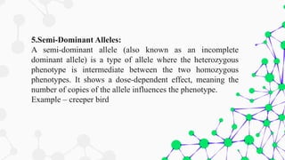 5.Semi-Dominant Alleles:
A semi-dominant allele (also known as an incomplete
dominant allele) is a type of allele where the heterozygous
phenotype is intermediate between the two homozygous
phenotypes. It shows a dose-dependent effect, meaning the
number of copies of the allele influences the phenotype.
Example – creeper bird
 