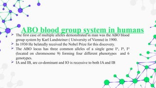 ABO blood group system in humans
 The first case of multiple alleles demonstrated in man was the ABO blood
group system by Karl Landsteiner ( University of Vienna) in 1900.
 In 1930 He belatedly received the Nobel Prize for this discovery.
 The ABO locus has three common alleles of a single gene IA
, IB
, IO
(located on chromosome 9) forming four different phenotypes and 6
genotypes.
 IA and IB, are co-dominant and IO is recessive to both IA and IB
 