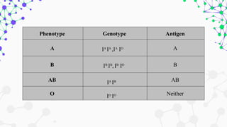 Phenotype Genotype Antigen
A IA
IA
,IA
IO A
B IB
IB
,IB
IO B
AB IA
IB AB
O IO
IO Neither
 