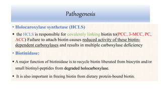 Pathogenesis
• Holocaroxylase synthetase (HCLS)
 the HCLS is responsible for covalently linking biotin to(PCC, 3-MCC, PC,
ACC) Failure to attach biotin causes reduced activity of these biotin-
dependent carboxylases and results in multiple carboxylase deficiency
• Biotinidase:
 A major function of biotinidase is to recycle biotin liberated from biocytin and/or
small biotinyl-peptides from degraded holocarboxylase.
 It is also important in freeing biotin from dietary protein-bound biotin.
 