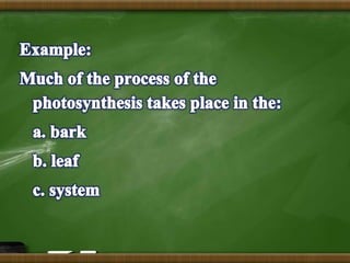 Multiple choice test (Assessment of Student Learning I)