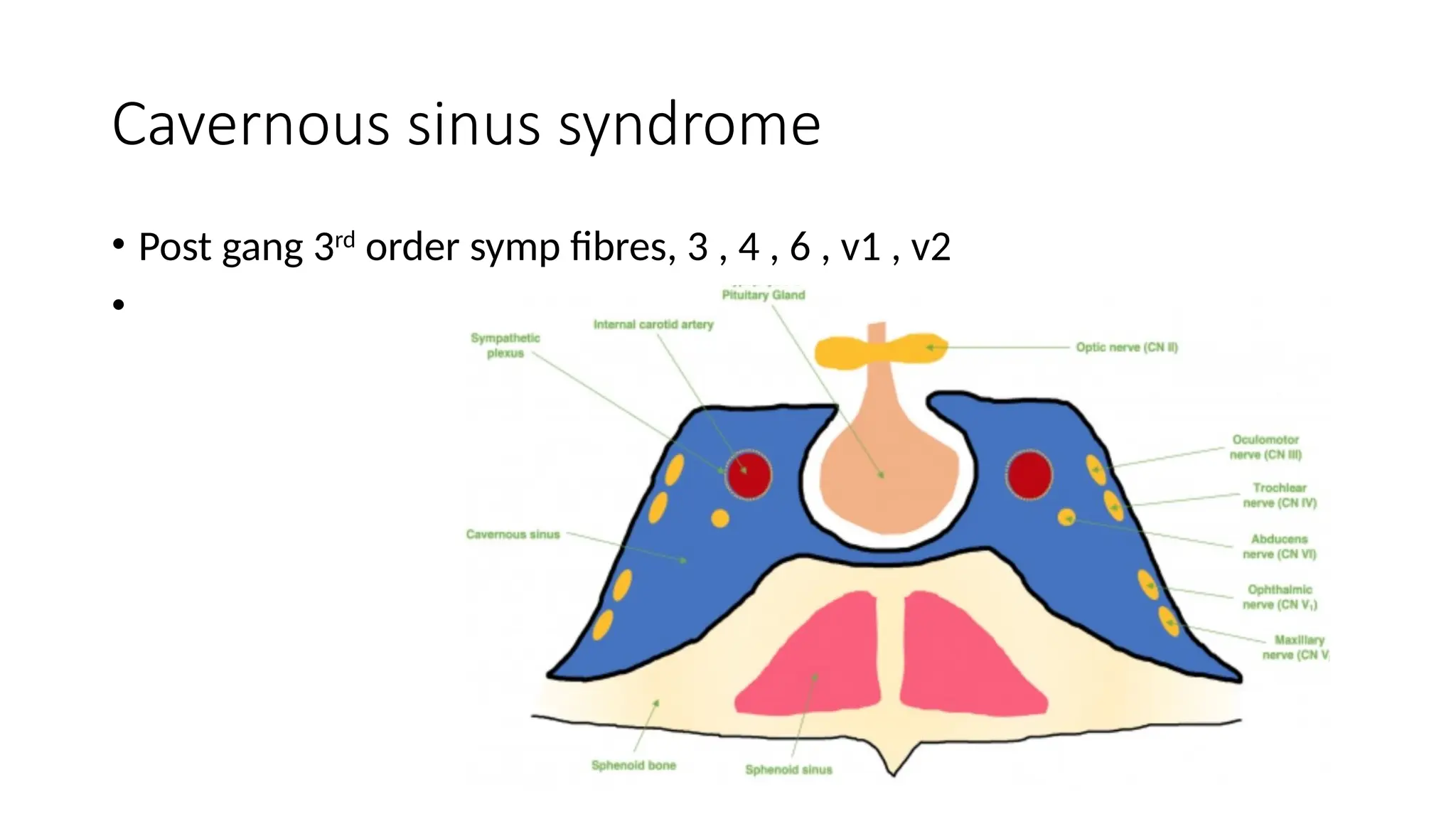 Multiple cranial nerve palsies.pptxghsjsjjs | PPTX