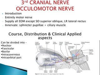 Multiple cranial nerve palsy final | PPTX