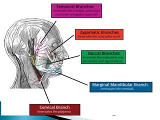 Multiple cranial nerve palsy final | PPTX
