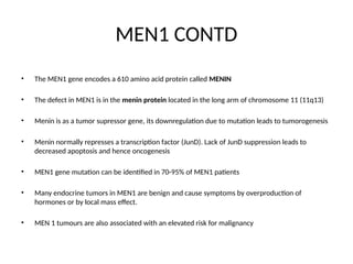 MEN1 CONTD
• The MEN1 gene encodes a 610 amino acid protein called MENIN
• The defect in MEN1 is in the menin protein located in the long arm of chromosome 11 (11q13)
• Menin is as a tumor supressor gene, its downregulation due to mutation leads to tumorogenesis
• Menin normally represses a transcription factor (JunD). Lack of JunD suppression leads to
decreased apoptosis and hence oncogenesis
• MEN1 gene mutation can be identified in 70-95% of MEN1 patients
• Many endocrine tumors in MEN1 are benign and cause symptoms by overproduction of
hormones or by local mass effect.
• MEN 1 tumours are also associated with an elevated risk for malignancy
 