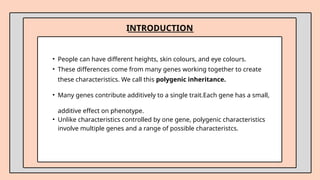 • People can have different heights, skin colours, and eye colours.
• These differences come from many genes working together to create
these characteristics. We call this polygenic inheritance.
• Many genes contribute additively to a single trait.Each gene has a small,
additive effect on phenotype.
• Unlike characteristics controlled by one gene, polygenic characteristics
involve multiple genes and a range of possible characteristcs.
INTRODUCTION
 