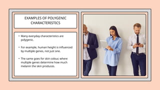 EXAMPLES OF POLYGENIC
CHARACTERISTICS
• Many everyday characteristics are
polygenic.
• For example, human height is influenced
by multiple genes, not just one.
• The same goes for skin colour, where
multiple genes determine how much
melanin the skin produces.
 