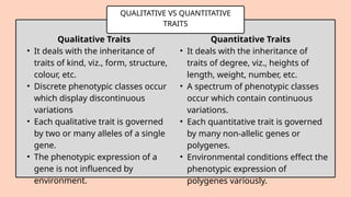 QUALITATIVE VS QUANTITATIVE
TRAITS
Qualitative Traits
• It deals with the inheritance of
traits of kind, viz., form, structure,
colour, etc.
• Discrete phenotypic classes occur
which display discontinuous
variations
• Each qualitative trait is governed
by two or many alleles of a single
gene.
• The phenotypic expression of a
gene is not influenced by
environment.
Quantitative Traits
• It deals with the inheritance of
traits of degree, viz., heights of
length, weight, number, etc.
• A spectrum of phenotypic classes
occur which contain continuous
variations.
• Each quantitative trait is governed
by many non-allelic genes or
polygenes.
• Environmental conditions effect the
phenotypic expression of
polygenes variously.
 