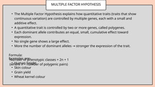 MULTIPLE FACTOR HYPOTHESIS
• The Multiple Factor Hypothesis explains how quantitative traits (traits that show
continuous variation) are controlled by multiple genes, each with a small and
additive effect.
• A quantitative trait is controlled by two or more genes, called polygenes.
• Each dominant allele contributes an equal, small, cumulative effect toward
expression.
• No single gene shows a large effect.
• More the number of dominant alleles stronger the expression of the trait.
→
Formula:
Number of phenotypic classes = 2n + 1
(where n = number of polygenic pairs)
Examples are:-
• Human height
• Skin colour
• Grain yield
• Wheat kernel colour
 