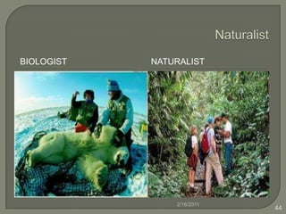 Learning Activities of Musical Intelligence Write math operations, formulas and problem solving raps. Learn about math concepts embedded in musical/dance pieces. A music learning center where students listen to music while studying spelling words. Study songs and their uses from different cultures. Analyze and study song lyrics to gain greater cultural and historical understanding. Listen to music from various periods and cultures and analyze its elements as well as historical context. Create advertising jingles to sell a product and relate the jingle to the product/company image and target audience.2/16/201132