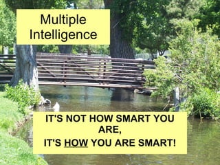 Multiple Intelligence IT'S NOT HOW SMART YOU ARE, IT'S  HOW  YOU ARE SMART! 
