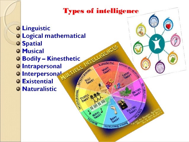 Multiple intelligences