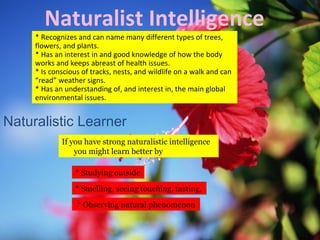 * Recognizes and can name many different types of trees,
flowers, and plants.
* Has an interest in and good knowledge of how the body
works and keeps abreast of health issues.
* Is conscious of tracks, nests, and wildlife on a walk and can
“read” weather signs.
* Has an understanding of, and interest in, the main global
environmental issues.
Naturalist Intelligence
Naturalistic Learner
If you have strong naturalistic intelligence
you might learn better by
* Studying outside
* Smelling, seeing touching, tasting,
* Observing natural phenomenon
 