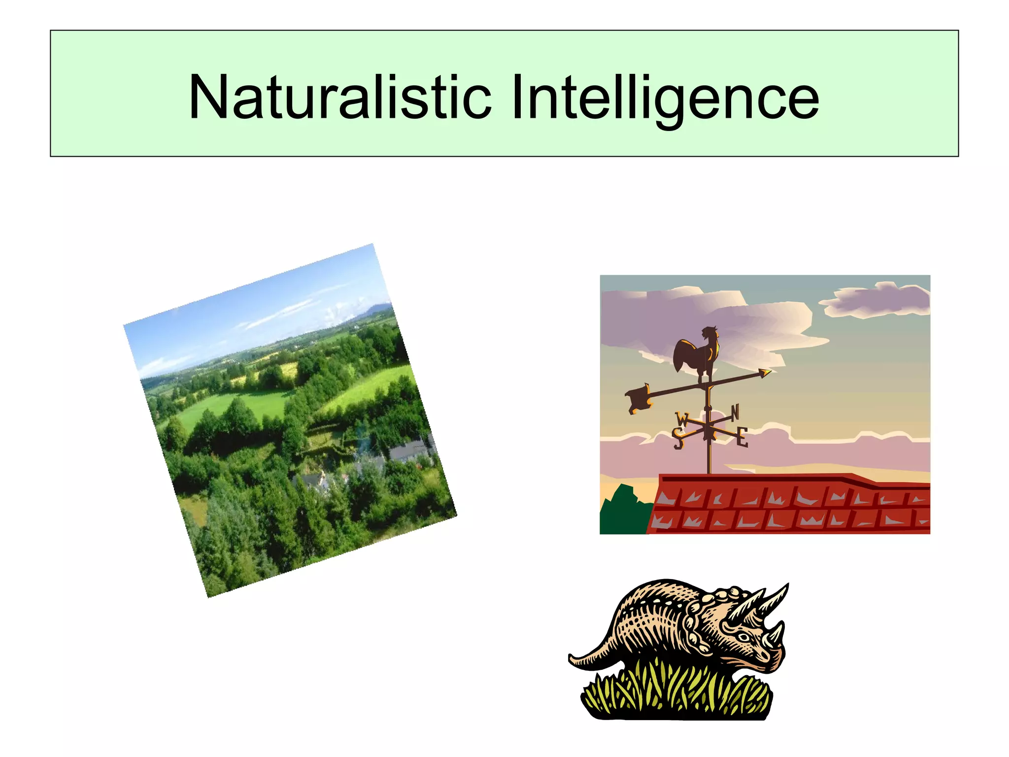 Naturalistic Intelligence

 