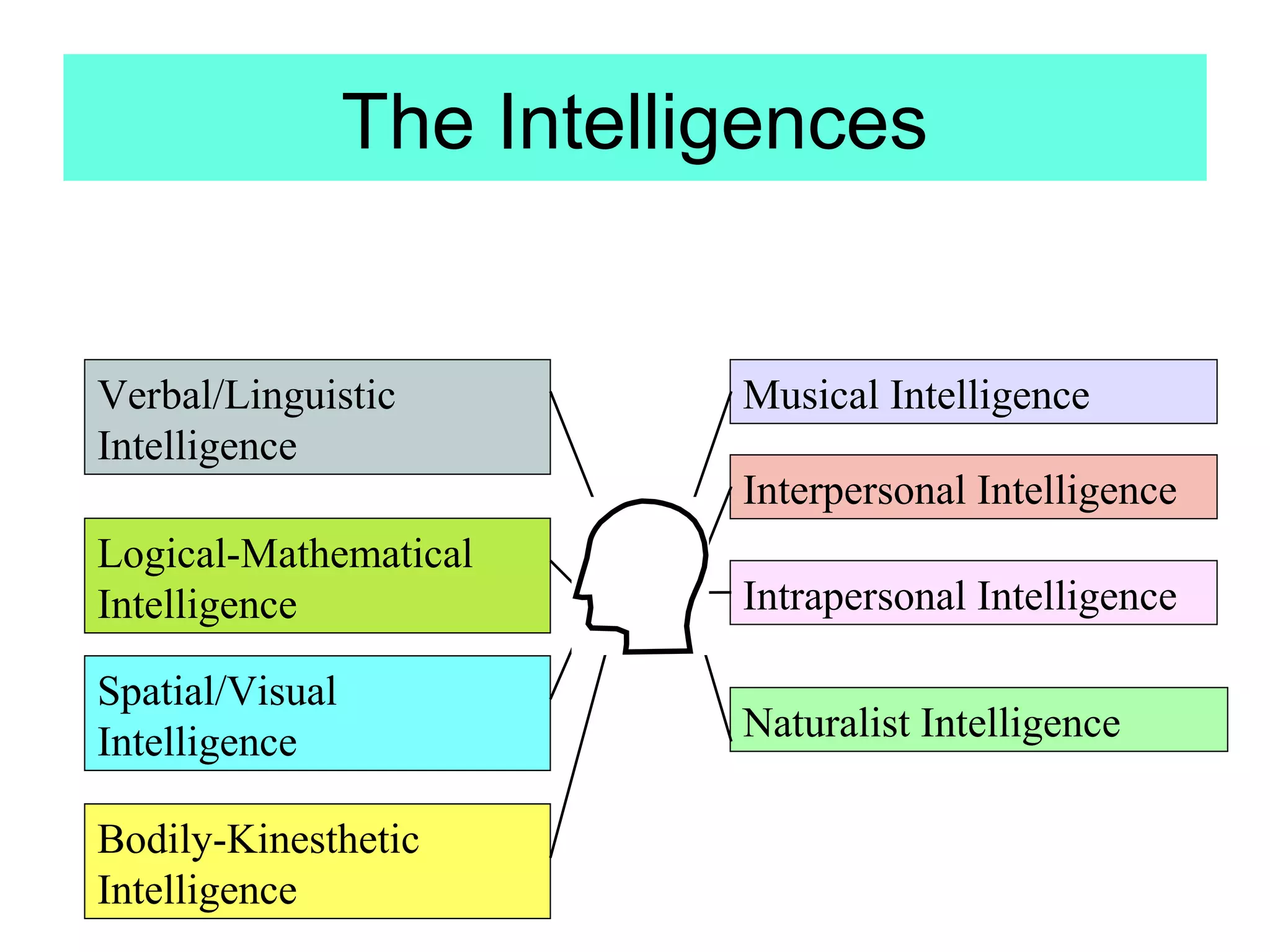 The Intelligences

Verbal/Linguistic
Intelligence

Musical Intelligence
Interpersonal Intelligence

Logical-Mathematical
Intelligence

Intrapersonal Intelligence

Spatial/Visual
Intelligence

Naturalist Intelligence

Bodily-Kinesthetic
Intelligence

 