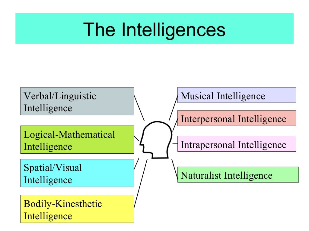 Multiple Intelligences Theory (2013)