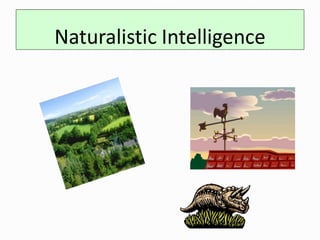 Naturalistic Intelligence
 