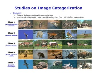 Classification Learning Based Approach Multiple Kernel Learning based Approach to Representation and Feature ...