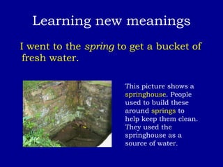Spring Multiple Meaning Multiple meaning words | PPT