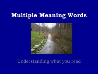 Multiple Meaning Words Understanding what you read 