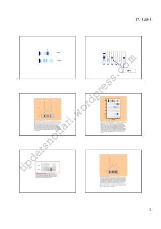 17.11.2014 
6 
com 
wordpress.A λ 
tipdersnotlari. 