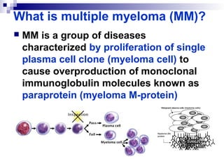 What is multiple myeloma (MM)?
MM is a group of diseases
characterized by proliferation of single
plasma cell clone (myeloma cell) to
cause overproduction of monoclonal
immunoglobulin molecules known as
paraprotein (myeloma M-protein)