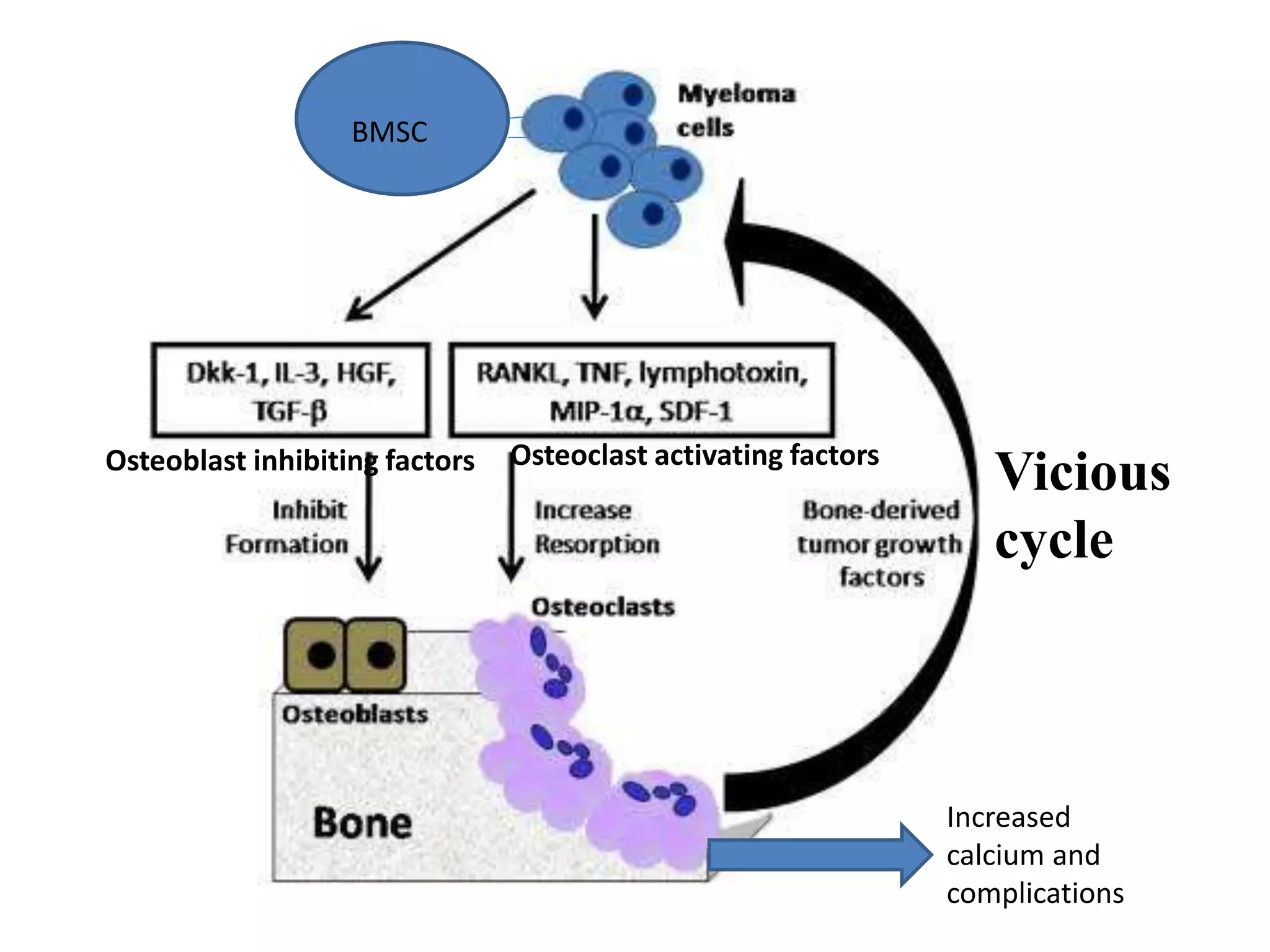 Vicious
cycle
Osteoclast activating factors
Increased
calcium and
complications
BMSC
Osteoblast inhibiting factors
 