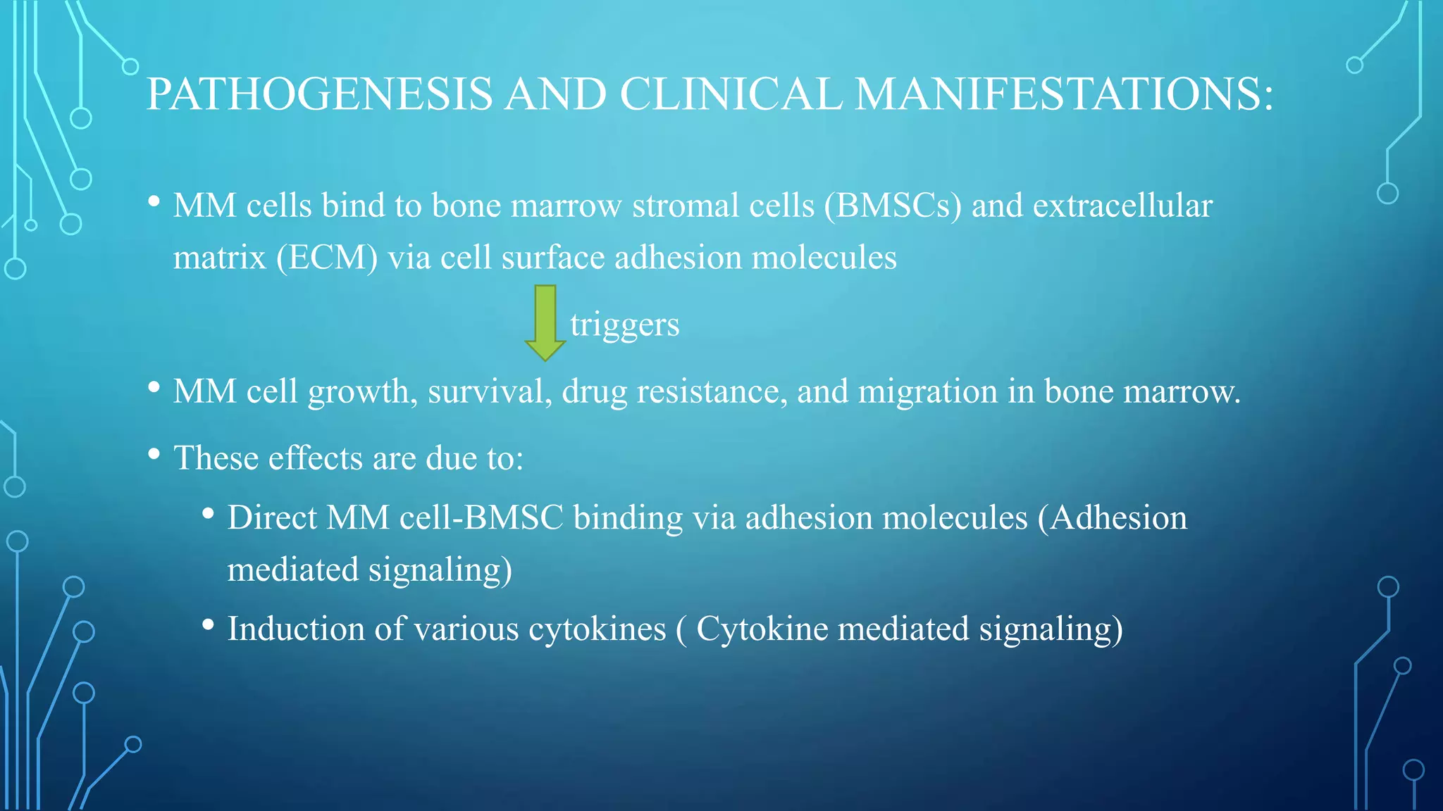 PATHOGENESIS AND CLINICAL MANIFESTATIONS:
• MM cells bind to bone marrow stromal cells (BMSCs) and extracellular
matrix (ECM) via cell surface adhesion molecules
triggers
• MM cell growth, survival, drug resistance, and migration in bone marrow.
• These effects are due to:
• Direct MM cell-BMSC binding via adhesion molecules (Adhesion
mediated signaling)
• Induction of various cytokines ( Cytokine mediated signaling)
 
