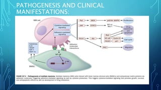 PATHOGENESIS AND CLINICAL
MANIFESTATIONS:
 