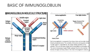 BASIC OF IMMUNOGLOBULIN
 