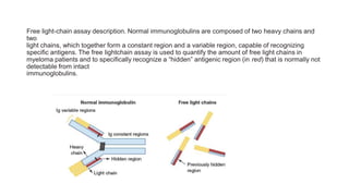 Free light-chain assay description. Normal immunoglobulins are composed of two heavy chains and
two
light chains, which together form a constant region and a variable region, capable of recognizing
specific antigens. The free lightchain assay is used to quantify the amount of free light chains in
myeloma patients and to specifically recognize a “hidden” antigenic region (in red) that is normally not
detectable from intact
immunoglobulins.
 