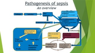 Pathogenesis of sepsis
An overview
Activation of
coagulation
Inhibition of
fibrinolysis
Endothelial
dysfunction
Tissue factor expression
Microvascular
flow
redistribution
Inflammation
Tissue injury
Microvascular
coagulation/
thrombosis
Organ
dysfunction
Death
Mitochondrial
dysfunction
Leucocyte activation
Anti-inflammatory
mediators
e.g. IL-10, IL-1ra receptor
antagonists
Pro-inflammatory
mediators
e.g. Tumour necrosis factor,
IL-1, IL-6, IL-8,
nitric oxide
Pathogen Infection
Host
responses
 