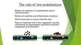 • Release of mediators of vasodilatation and/or
vasoconstriction
• Release of cytokines and inflammatory mediators
• Allows leucocytes to access infection sites
• Plays an important role in the coagulation cascade,
maintaining the physiological equilibrium between
coagulation and fibrinolysis
The role of the endothelium
Tissue injury Formation of fibrin clot
 