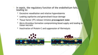 • In sepsis, the regulatory function of the endothelium fails,
leading to:
• Excessive vasodilation and relative hypovolaemia
• Leaking capillaries and generalised tissue damage
• Tissue factor (TF) release initiates procoagulant state
• Micro-thrombus formation compromising blood supply and leading to
tissue necrosis
• Inactivation of Protein C and suppression of fibrinolysis
Tissue injury Formation of fibrin clot
 