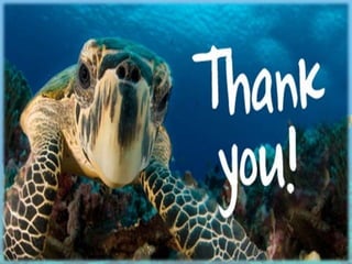 Multiple paternity in loggerhead turtle ( caretta caretta