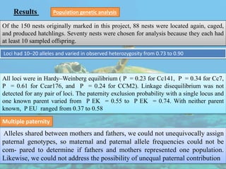 Results Population genetic analysis
Alleles shared between mothers and fathers, we could not unequivocally assign
paternal genotypes, so maternal and paternal allele frequencies could not be
com- pared to determine if fathers and mothers represented one population.
Likewise, we could not address the possibility of unequal paternal contribution
Multiple paternity
Of the 150 nests originally marked in this project, 88 nests were located again, caged,
and produced hatchlings. Seventy nests were chosen for analysis because they each had
at least 10 sampled offspring.
Loci had 10–20 alleles and varied in observed heterozygosity from 0.73 to 0.90
All loci were in Hardy–Weinberg equilibrium ( P = 0.23 for Cc141, P = 0.34 for Cc7,
P = 0.61 for Ccar176, and P = 0.24 for CCM2). Linkage disequilibrium was not
detected for any pair of loci. The paternity exclusion probability with a single locus and
one known parent varied from P EK = 0.55 to P EK = 0.74. With neither parent
known, P EU ranged from 0.37 to 0.58
 