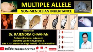 Rajendra Chavhan
NON-MENDELIAN INHERITANCE
PRESENTED BY
Dr. RAJENDRA CHAVHAN
Assistant Professor in Zoology,
Mahatma Gandhi Arts, Science &
Late N. P. Commerce College Armori, District Gadchiroli
MULTIPLE ALLELE
 