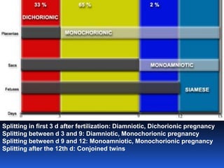 Splitting in first 3 d after fertilization: Diamniotic, Dichorionic pregnancy
Splitting between d 3 and 9: Diamniotic, Monochorionic pregnancy
Splitting between d 9 and 12: Monoamniotic, Monochorionic pregnancy
Splitting after the 12th d: Conjoined twins
 